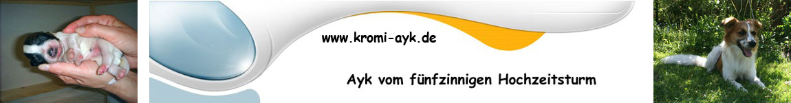 Banner-Kromfohrlnder-ayk